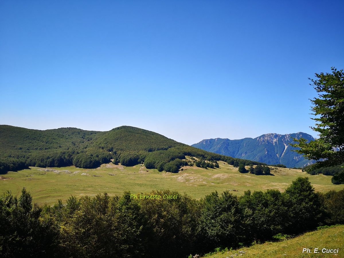 Campo di Annibale